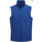 color:oxford blue
